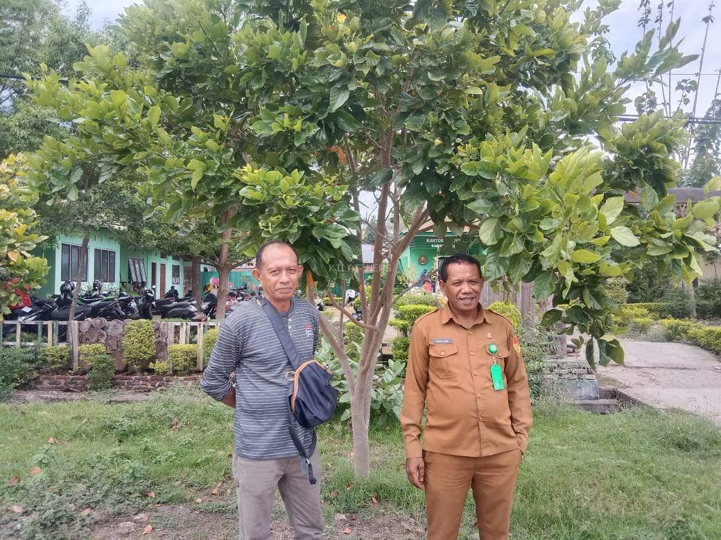 Lembata menjadi Pusat Riset  Benih dan Pengembangan Malapari